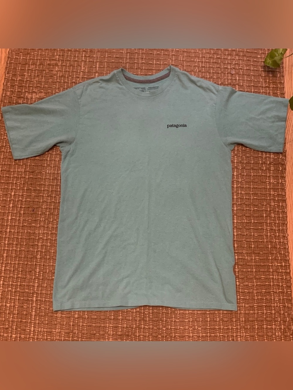 Patagonia Men’s Short-Sleeve Crew Tee in Sage Green